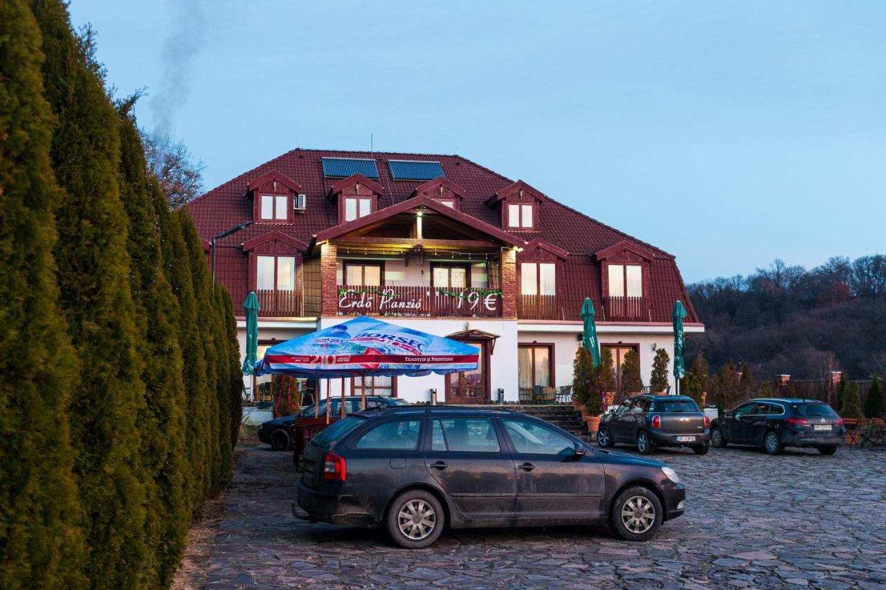 Pensiunea si Restaurant Erdo Odorheiu Secuiesc Exterior foto