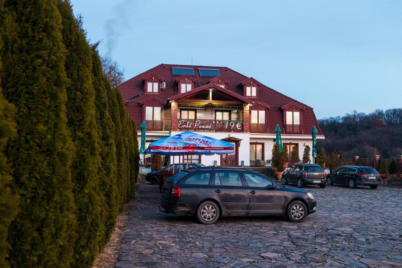 Pensiunea si Restaurant Erdo Odorheiu Secuiesc Exterior foto